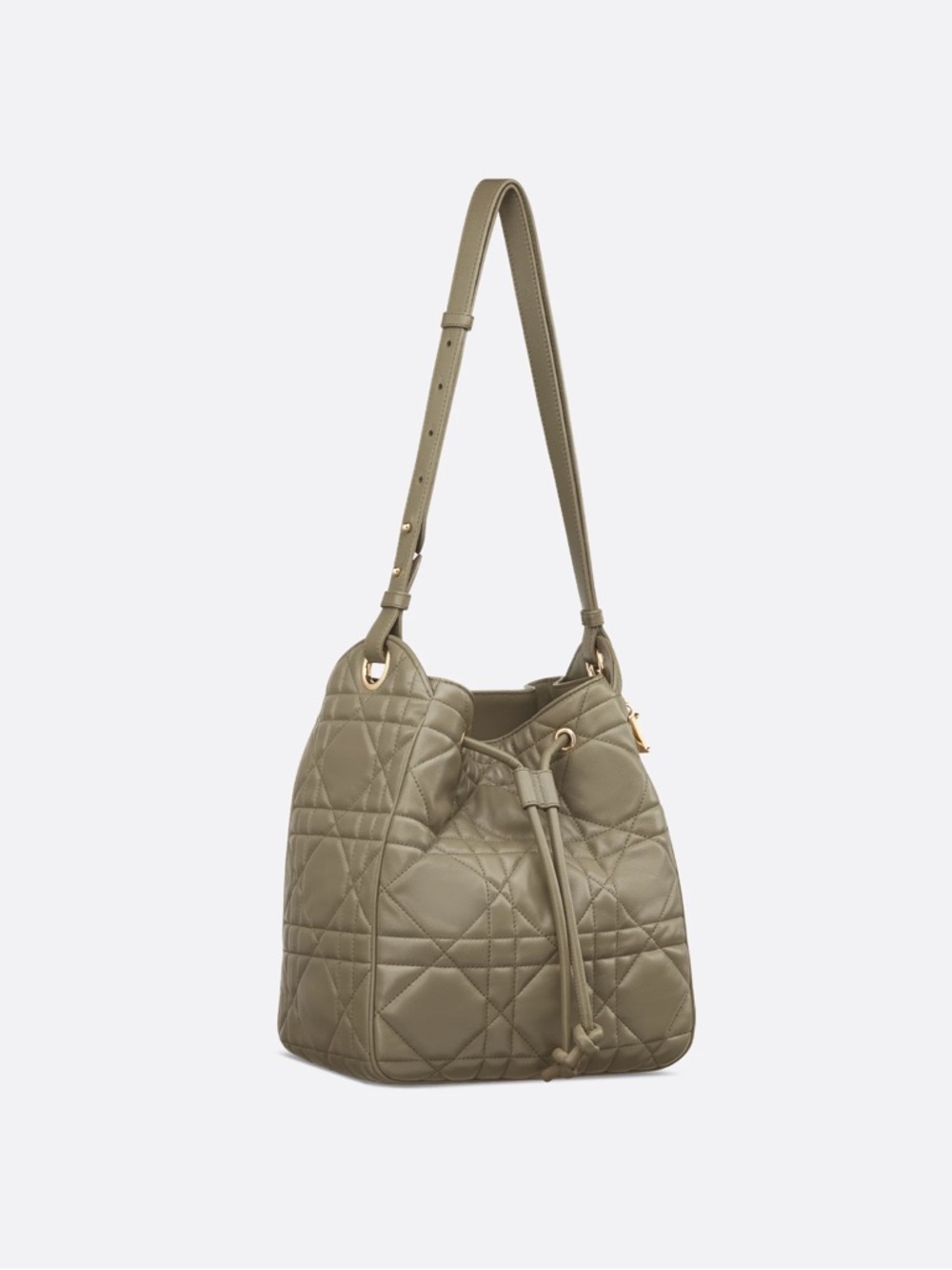 Christian Dior Medium D-Motion Bucket Bag